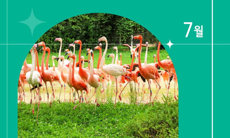 7월 이달의 동물
