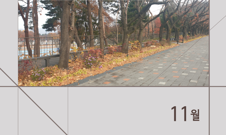 11월 꽃의 숲 이야기