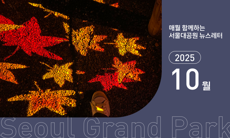 10월 뉴스레터 썸네일