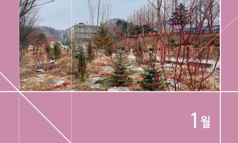 1월 꽃의 숲 이야기