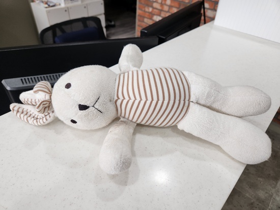 [의류]토끼 인형