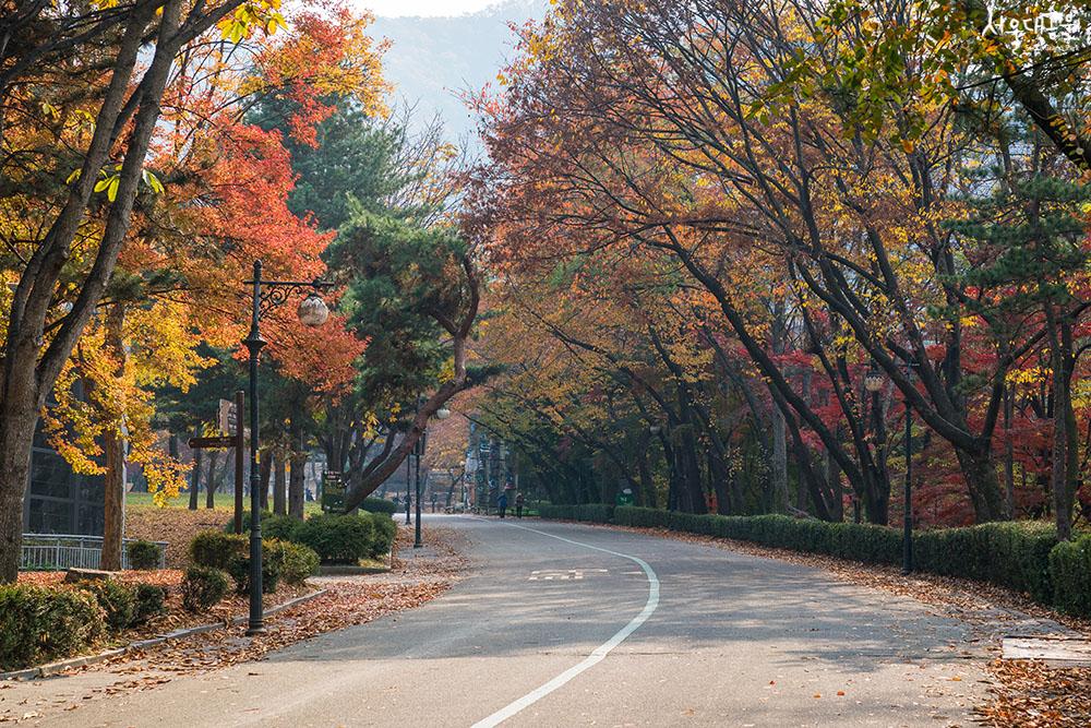 首尔大公园秋景