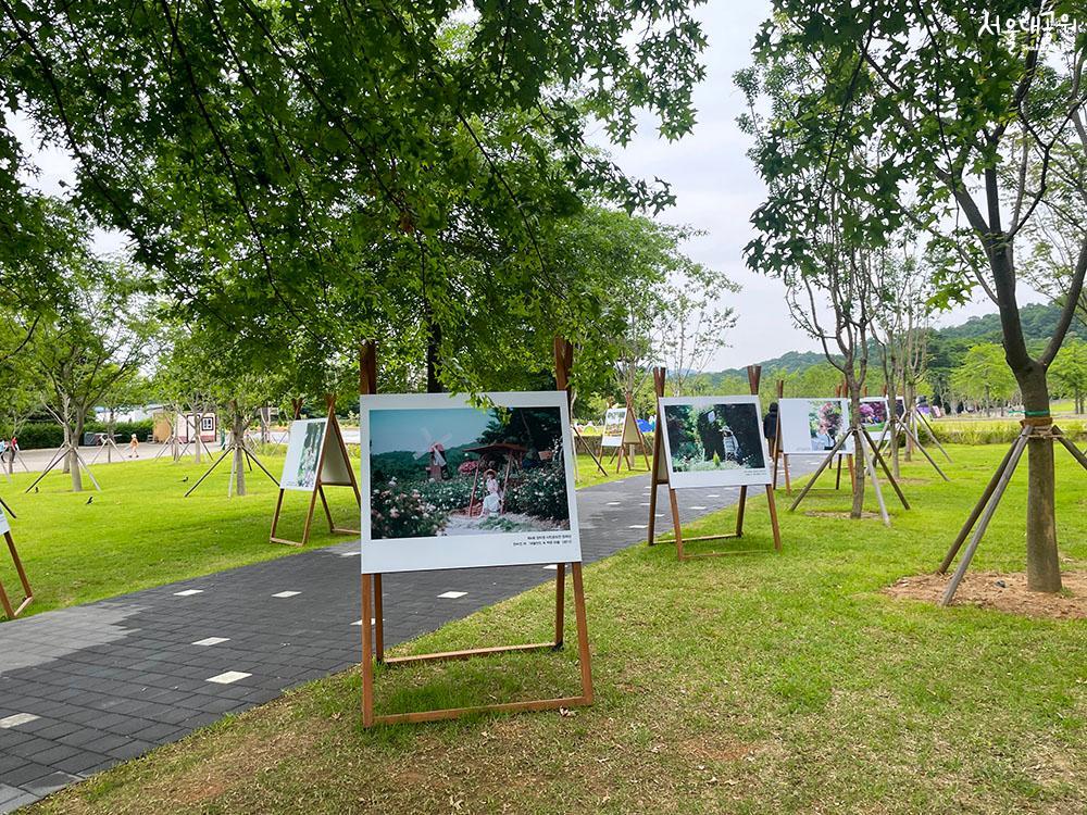 玫瑰园摄影征集展获奖作品展示会