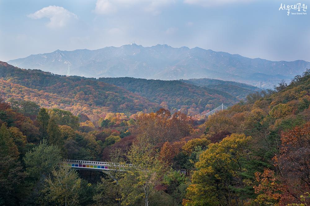 Autumn scenery at Seoul Grand Park