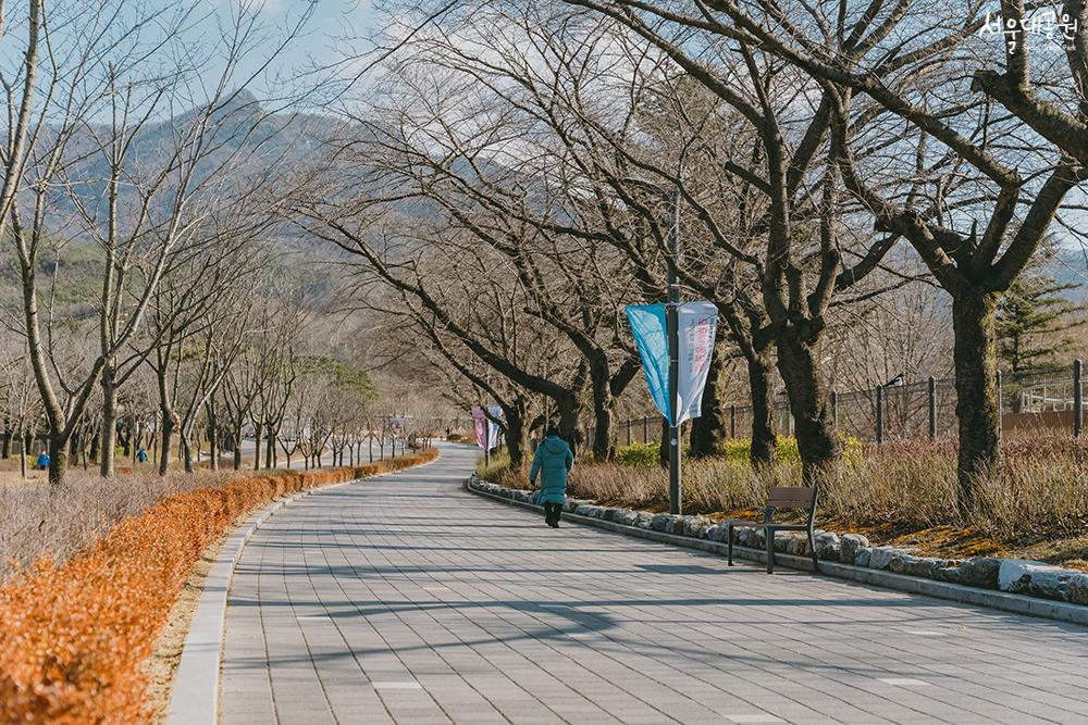 首尔大公园的冬景
