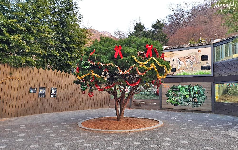 Christmas in the Seoul Grand Park
