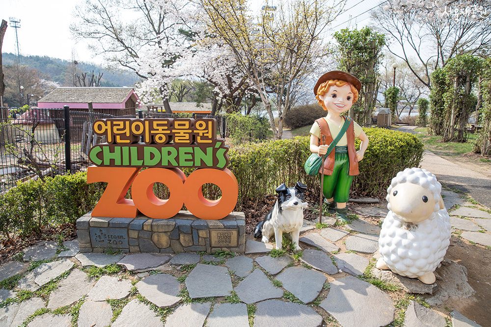 어린이동물원 사진