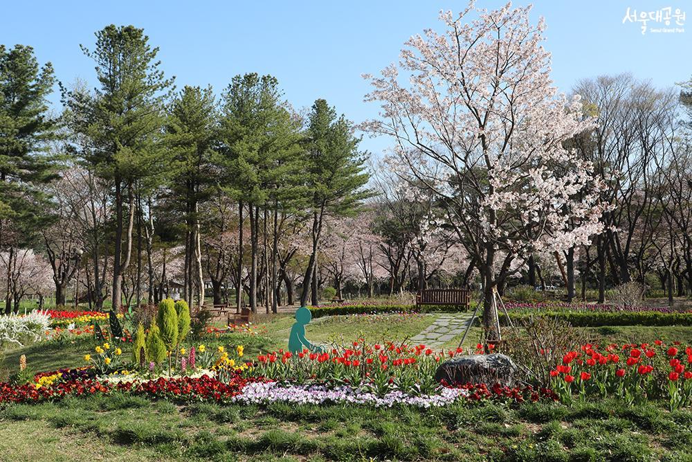 Spring flowers in full bloom, theme garden, garden