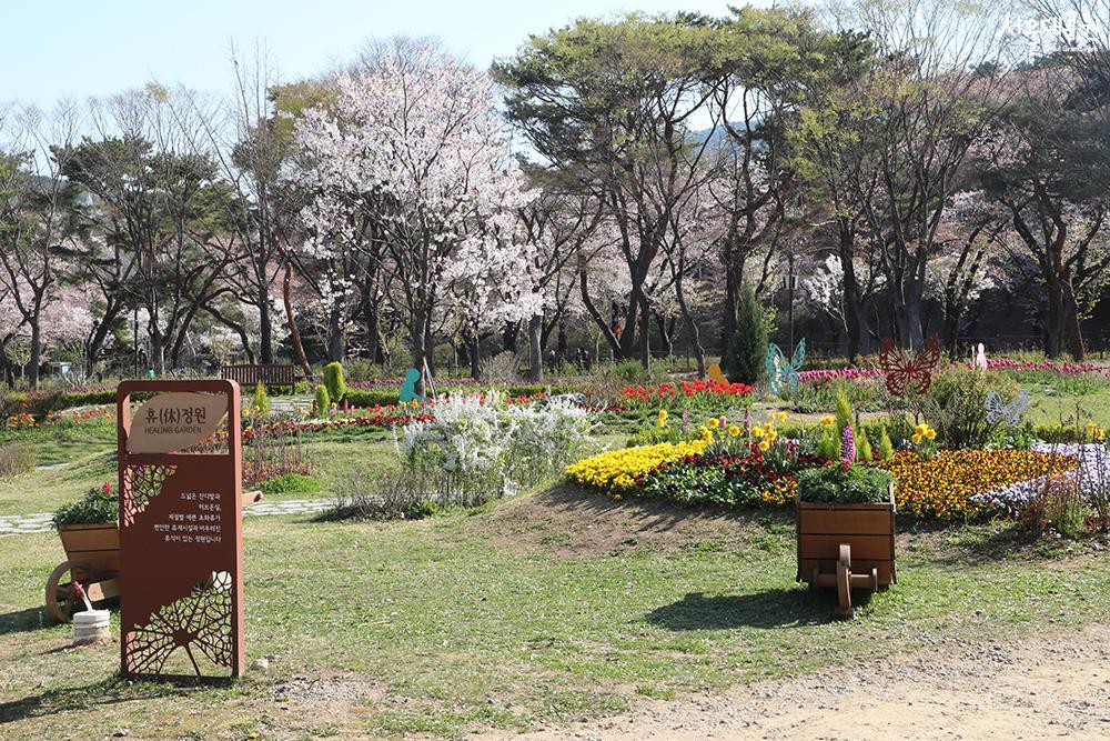 春日花卉盛开，主题花园休庭院