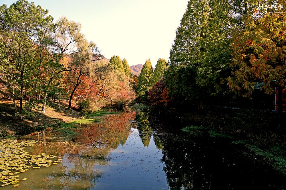 Autumn scenery at Seoul Grand Park