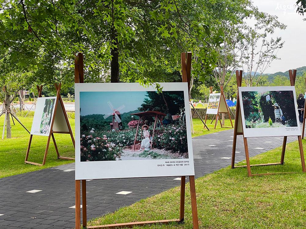 玫瑰园摄影征集展获奖作品展示会