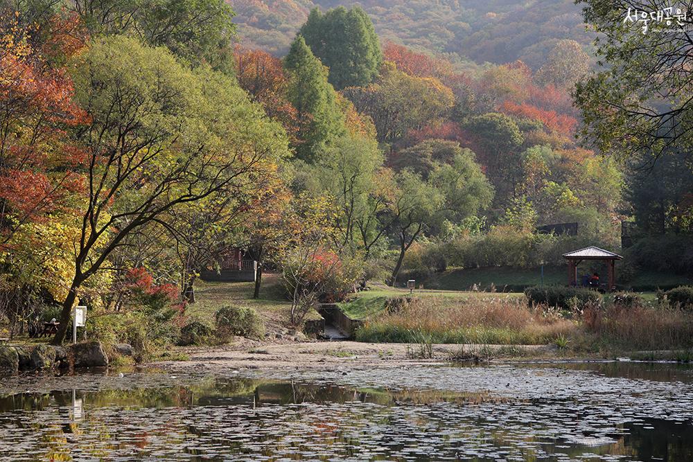 단풍맛집! 서울대공원 가을풍경 2탄! 대공원 풍경