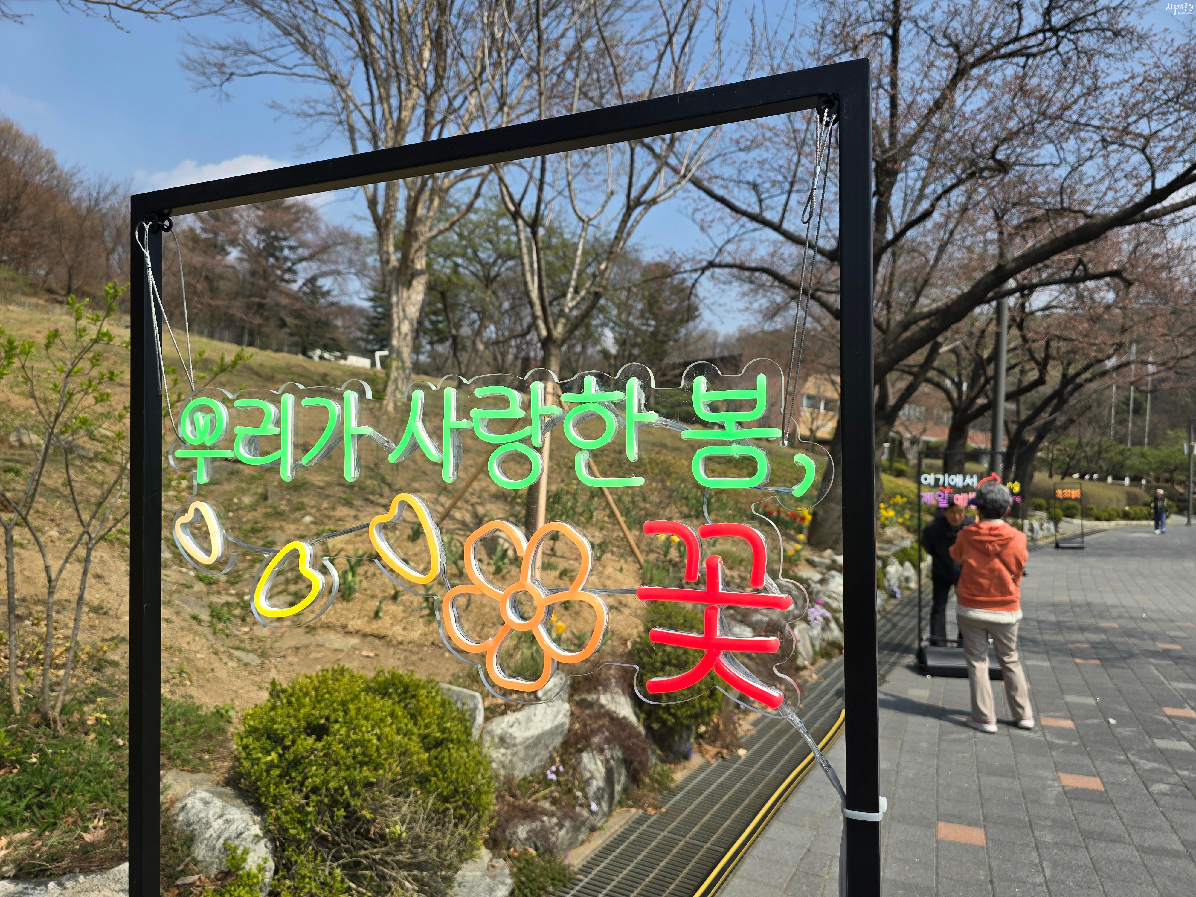 우리가 사랑한 봄 꽃