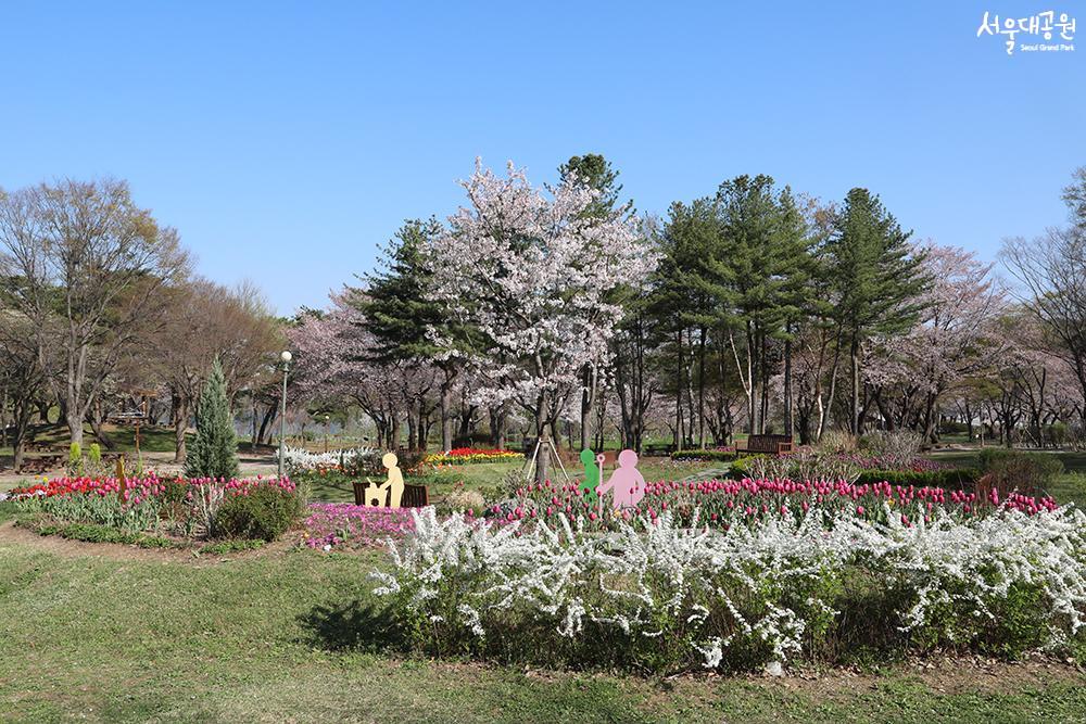 Spring flowers in full bloom, theme garden, garden