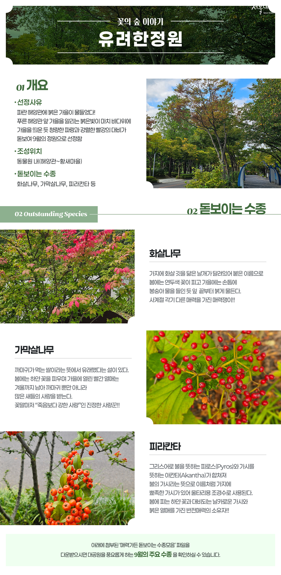 9월 꽃의 숲 이야기
