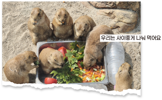 우리는 사이좋게 나눠 먹어요