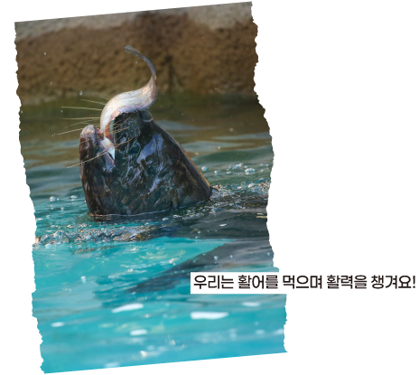 우리는 활어를 먹으며 활력을 챙겨요!