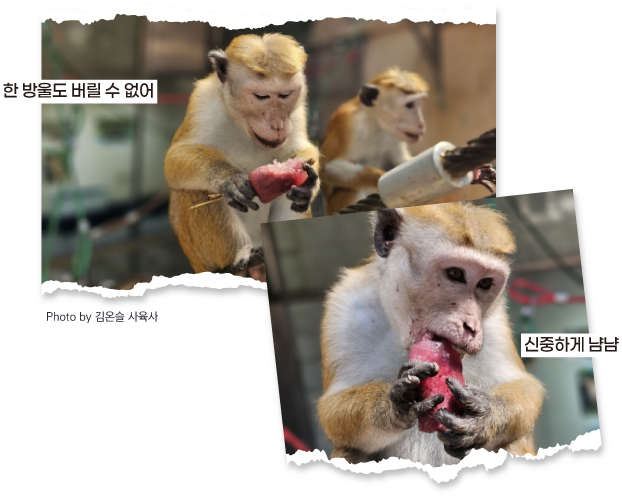 한 방울도 버릴 수 없어 신중하게 냠냠