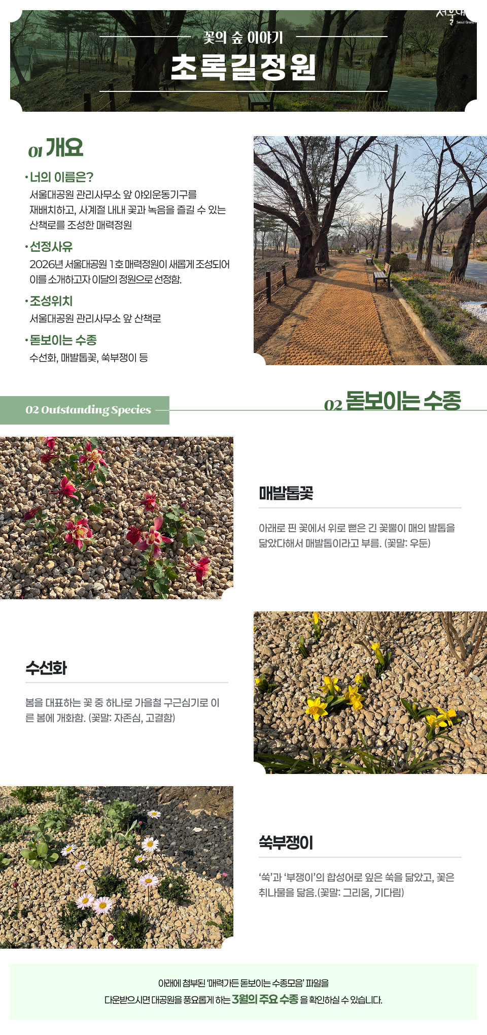 ‘꽃의 숲 이야기 초록길정원’ 안내 이미지. 상단에는 나무가 늘어선 산책로 사진 배경 위에 ‘꽃의 숲 이야기’와 ‘초록길정원’이라는 제목이 크게 표시되어 있다.

왼쪽 영역에는 ‘01 개요’가 있으며 다음 내용이 포함되어 있다.
‘너의 이름은?’ 항목에는 서울대공원 관리사무소 앞 야외운동기구를 재배치하고, 사계절 내내 꽃과 녹음을 즐길 수 있는 산책로를 조성한 매력정원이라는 설명이 있다.
‘선정사유’ 항목에는 2026년 서울대공원 1호 매력정원이 새롭게 조성되어 이를 소개하고자 이달의 정원으로 선정되었다는 내용이 있다.
‘조성위치’는 서울대공원 관리사무소 앞 산책로로 표시되어 있다.
‘돋보이는 수종’에는 수선화, 매발톱꽃, 쑥부쟁이 등이 포함된다고 안내되어 있다.
오른쪽에는 나무가 있는 산책로와 벤치가 놓인 실제 정원 사진이 배치되어 있다.

중간에는 ‘02 Outstanding Species’와 ‘02 돋보이는 수종’이라는 제목이 표시되어 있다.

아래에는 대표 식물 3종이 사진과 함께 설명되어 있다.
첫 번째 ‘매발톱꽃’은 자갈 위에 붉은 꽃이 핀 모습의 사진과 함께, 아래로 핀 꽃에서 위로 뻗은 긴 꽃뿔이 매의 발톱을 닮아 이름 붙여졌다는 설명과 꽃말이 ‘우둔’이라고 적혀 있다.
두 번째 ‘수선화’는 자갈 사이에 노란 꽃이 핀 사진과 함께, 봄을 대표하는 꽃 중 하나로 가을철 구근 심기로 이른 봄에 개화하며 꽃말은 ‘자존심, 고결함’이라고 설명되어 있다.
세 번째 ‘쑥부쟁이’는 작은 연보라색 꽃이 핀 사진과 함께, ‘쑥’과 ‘부쟁이’의 합성어로 잎은 쑥을 닮고 꽃은 취나물을 닮았으며 꽃말은 ‘그리움, 기다림’이라고 설명되어 있다.

하단에는 ‘아래에 첨부된 매력가든 돋보이는 수종모음 파일을 다운로드하면 대공원을 풍요롭게 하는 3월의 주요 수종을 확인하실 수 있습니다.’라는 안내 문구가 포함되어 있다.
