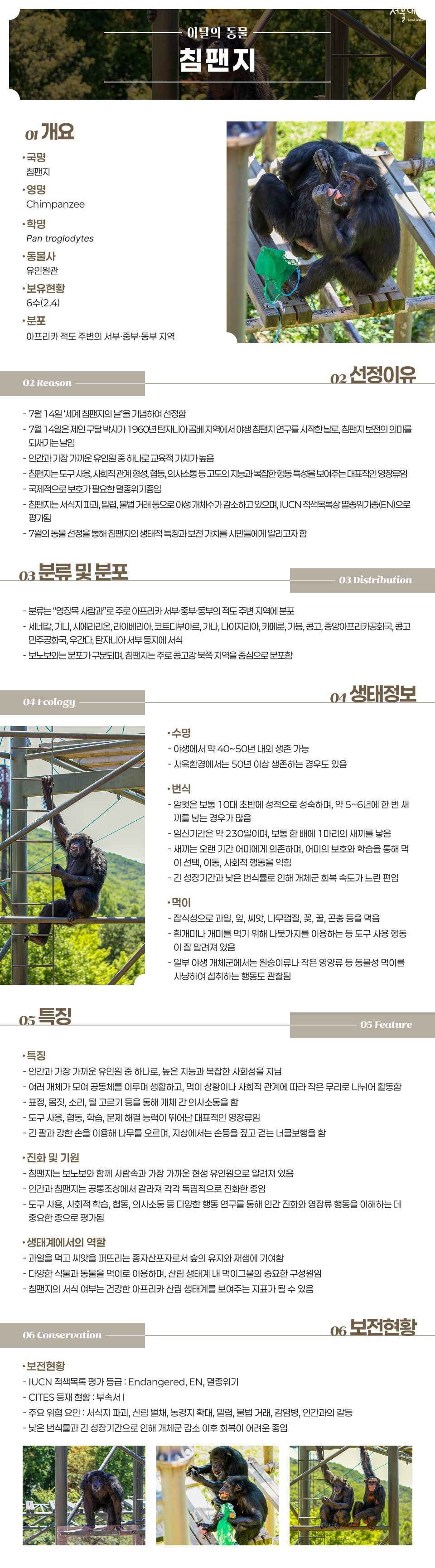 7월 이달의 동물침팬지