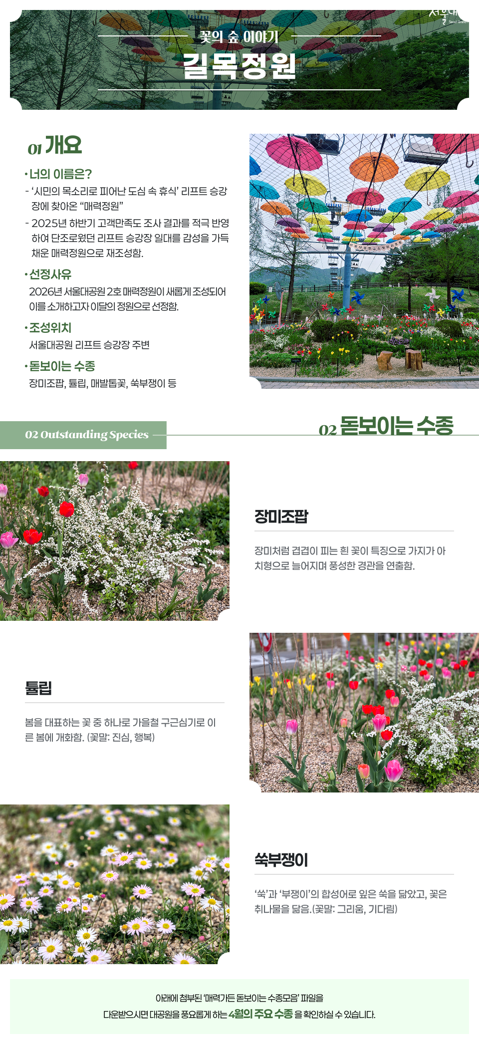 꽃의 숲 이야기 ‘길목정원’ 소개 이미지.
개요: ‘너의 이름은?’ 시민의 목소리로 피어난 도심 속 휴식 리프트 승강장에 찾아온 매력정원. 2025년 하반기 고객만족도 조사 결과를 적극 반영하여 단조로웠던 리프트 승강장 일대를 감성을 가득 채운 매력정원으로 재조성함.
선정사유: 2026년 서울대공원 2호 매력정원이 새롭게 조성되어 이를 소개하고자 이달의 정원으로 선정.
조성위치: 서울대공원 리프트 승강장 주변.
돋보이는 수종: 장미조팝, 튤립, 쑥부쟁이 등.

돋보이는 수종 설명:
장미조팝 – 장미처럼 겹겹이 피는 흰 꽃이 특징으로 가지가 아치형으로 늘어지며 풍성한 경관을 연출함.
튤립 – 봄을 대표하는 꽃 중 하나로 가을철 구근 심기로 이른 봄에 개화하며 꽃말은 진심, 행복.
쑥부쟁이 – ‘쑥’과 ‘부쟁이’의 합성어로 잎은 쑥을 닮았고 꽃은 취나물을 닮음. 꽃말은 그리움, 기다림.

하단 안내 문구: 첨부된 매력가든 돋보이는 수종모음 파일 다운로드 시 대공원을 풍요롭게 하는 4월의 주요 수종 확인 가능.

이미지 구성: 리프트 주변 정원에 형형색색 우산 장식과 다양한 꽃들이 조성된 전경, 장미조팝, 튤립, 쑥부쟁이 식재 모습 사진 포함.