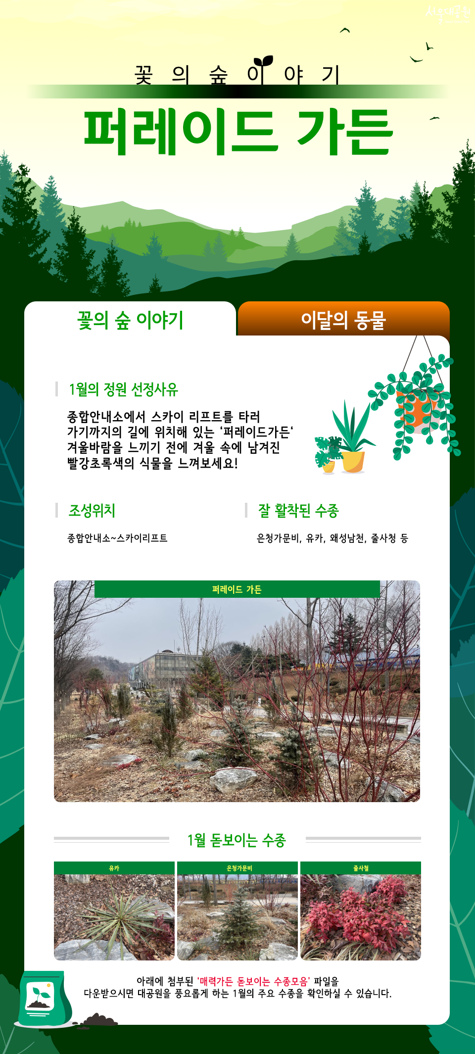  꽃의 숲 이야기 
퍼레이드 가든 1월의 정원 선정사유
종합안내소에서 스카이 리프트를 타러 가기까지의 길에 위치해 있는 '퍼레이드가든' 겨울바람을 느끼기 전에 겨울 속에 남겨진 빨강초록색의 식물을 느껴보세요!
조성위치
종합안내소~스카이리프트
잘 활착된 수종
은정가문비, 유카, 해성남천, 홀사철 등
퍼레이드 가든
1월 돋보이는 수종
유카 | 은청가문비 | 홀사철
아래에 첨부된 '퍼레이드 돋보이는 수종모음' 파일을 다운받으시면 대공원을 찾으셨게 하는 1월의 주요 수종을 확인하실 수 있습니다.