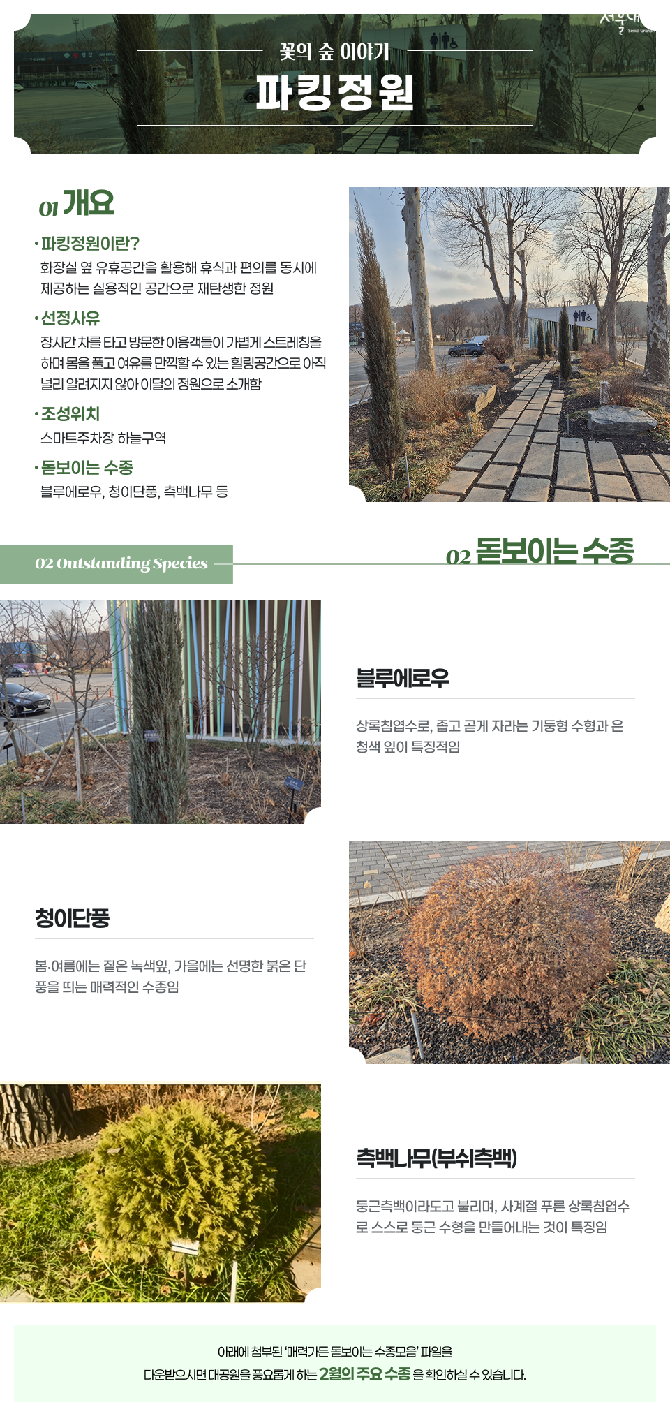 오후 6:23
꽃의 숲 이야기 파킹정원

01 개요

파킹정원이란? 화장실 옆 유휴공간을 활용해 휴식과 편의를 동시에 제공하는 실용적인 공간으로 재탄생한 정원

선정사유 장시간 차를 타고 방문한 이용객들이 가볍게 스트레칭을 하며 몸을 풀고 여유를 만끽할 수 있는 힐링공간으로 아직 널리 알려지지 않아 이달의 정원으로 소개함

조성위치 스마트주차장 하늘구역

돋보이는 수종 블루에로우, 청이단풍, 측백나무 등

02 돋보이는 수종

블루에로우 상록침엽수로, 좁고 곧게 자라는 기둥형 수형과 은 청색 잎이 특징적임

청이단풍 봄·여름에는 짙은 녹색잎, 가을에는 선명한 붉은 단풍을 띠는 매력적인 수종임

측백나무(부쉬측백) 둥근측백이라도고 불리며, 사계절 푸른 상록침엽수로 스스로 둥근 수형을 만들어내는 것이 특징임

아래에 첨부된 '매력가든 돋보이는 수종모음' 파일을 다운받으시면 대공원을 풍요롭게 하는 2월의 주요 수종을 확인하실 수 있습니다.



