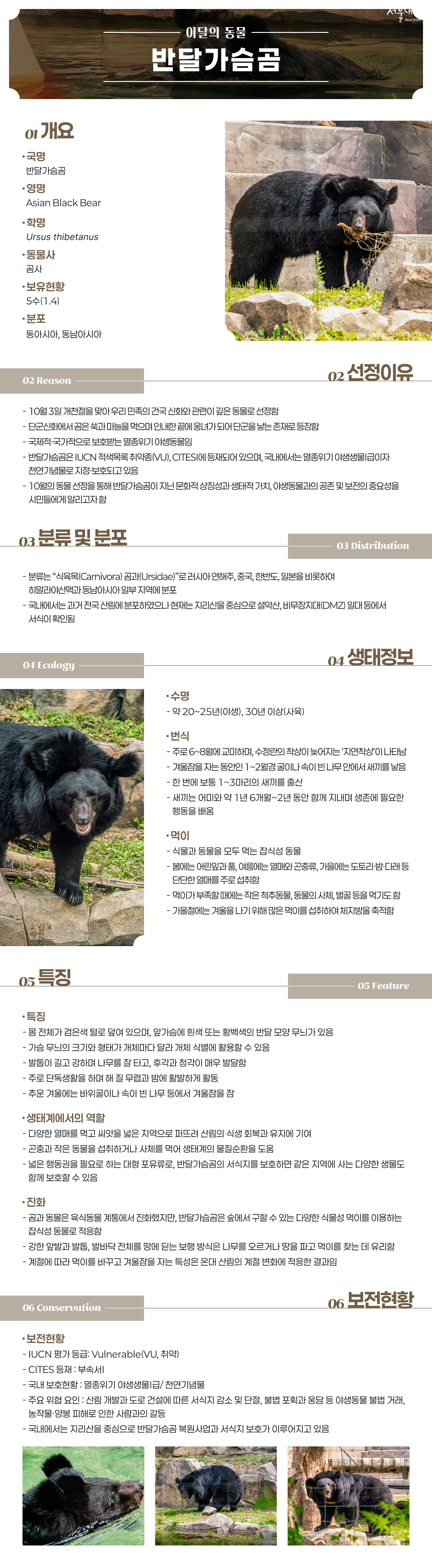 10월 이달의 동물 반달가슴곰