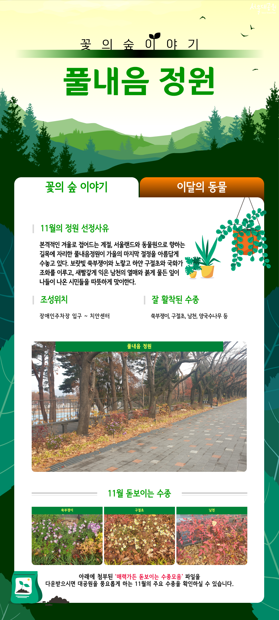 풀내음 정원
꽃의 숲 이야기
11월의 정원 선정사유
본격적인 겨울로 접어드는 계절, 서울랜드와 동물원으로 향하는 길목에 자리한 풀내음정원이 가을의 마지막 절정을 아름답게 수놓고 있다. 보랏빛 쑥부쟁이와 노랗고 하얀 구절초와 국화가 조화를 이루고, 새빨갛게 익은 남천의 열매와 붉게 물든 잎이 나들이 나온 시민들을 따뜻하게 맞이한다.
조성위치
장애인주차장 입구 ~ 치안센터
잘 활착된 수종
쑥부쟁이, 구절초, 남천, 양국수나무 등
풀내음 정원
11월 돋보이는 수종
쑥부쟁이 | 구절초 | 남천
아래에 첨부된 '매력가든 돋보이는 수종모음' 파일을 다운받으시면 대공원을 풍요롭게 하는 11월의 주요 수종을 확인하실 수 있습니다.