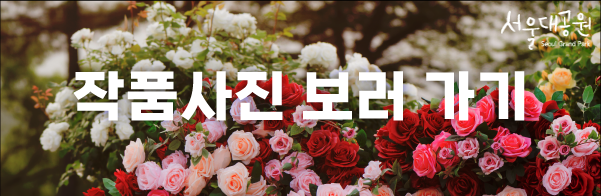 작품사진 보러 가기