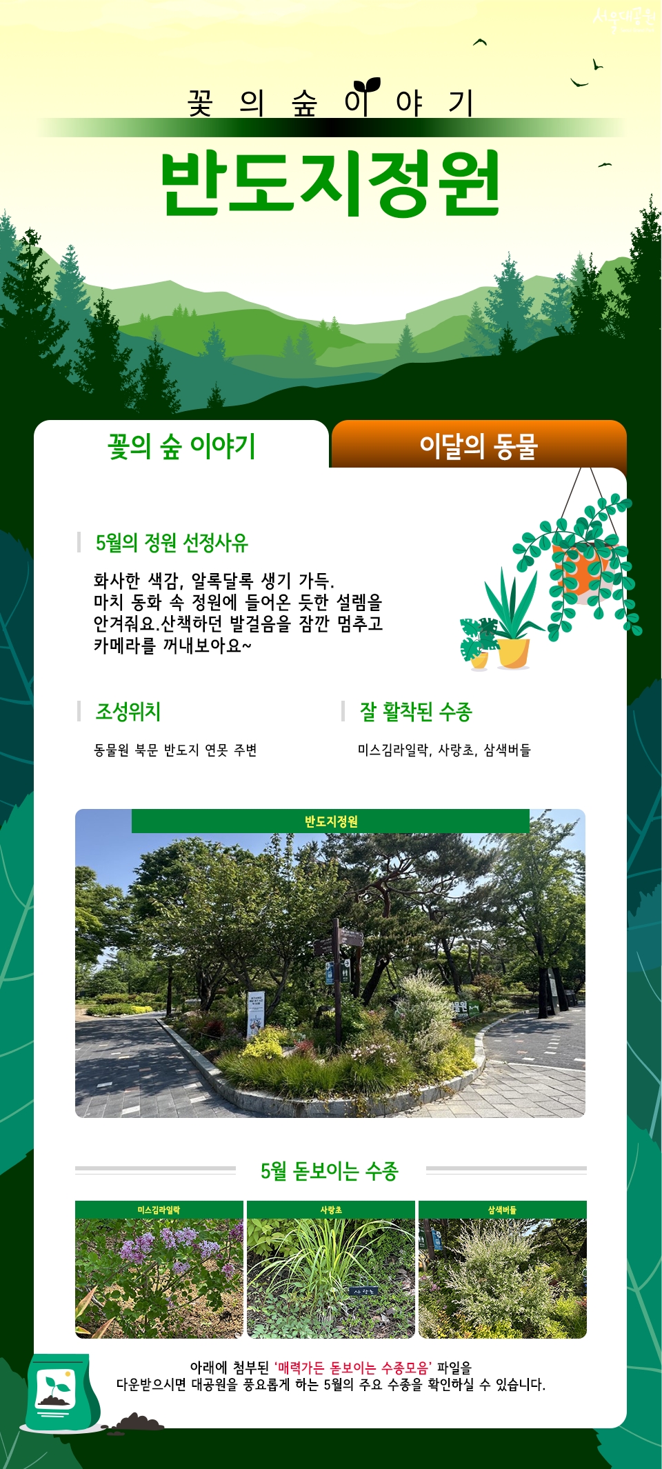 반도지정원
꽃의 숲 이야기
5월의 정원 선정사유
화사한 색감, 알록달록 생기 가득. 마치 동화 속 정원에 들어온 듯한 설렘을 안겨줘요. 산책하던 발걸음을 잠깐 멈추고 카메라를 꺼내보아요~
조성위치
동물원 북문 반도지 연못 주변
잘 활착된 수종
미스김라일락, 사랑초, 삼색버들
반도지정원
5월 돋보이는 수종
미스김라일락 | 사랑초 | 삼색버들
아래에 첨부된 '매력가든 돋보이는 수종모음' 파일을 다운받으시면 대공원을 풍요롭게 하는 5월의 주요 수종을 확인하실 수 있습니다.