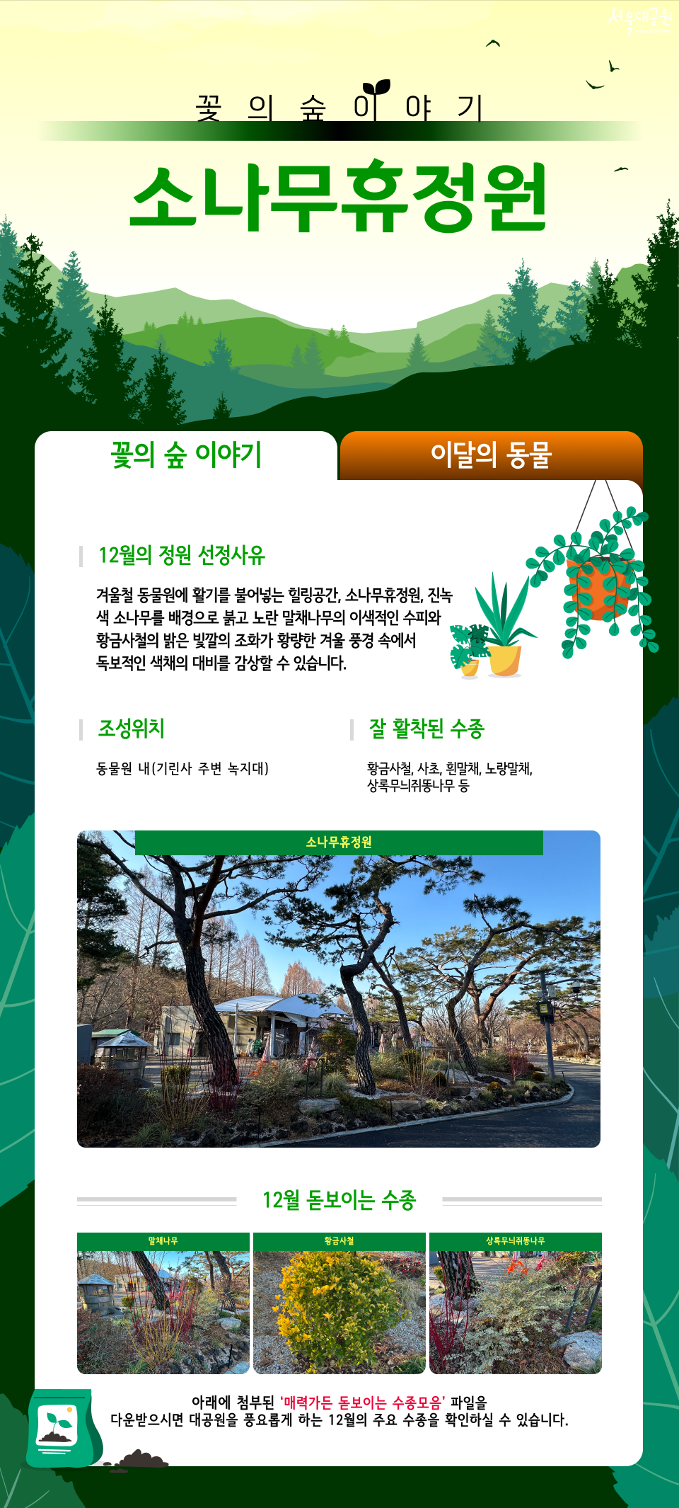 소나무휴정원
꽃의 숲 이야기
12월의 정원 선정사유
겨울철 동물원에 활기를 불어넣는 힐링공간, 소나무휴정원. 진녹색 소나무를 배경으로 붉고 노란 말채나무의 이색적인 수피와 황금사철의 밝은 빛깔의 조화가 황량한 겨울 풍경 속에서 독보적인 색채의 대비를 감상할 수 있습니다.
조성위치
동물원 내(기린사 주변 녹지대)
잘 활착된 수종
황금사철, 사초, 흰말채, 노랑말채, 상록무늬러동나무 등
소나무휴정원
12월 돋보이는 수종
말채나무 | 황금사철 | 상록무늬러동나무
아래에 첨부된 '매력가든 돋보이는 수종모음' 파일을 다운받으시면 대공원을 풍요롭게 하는 12월의 주요 수종을 확인하실 수 있습니다.
