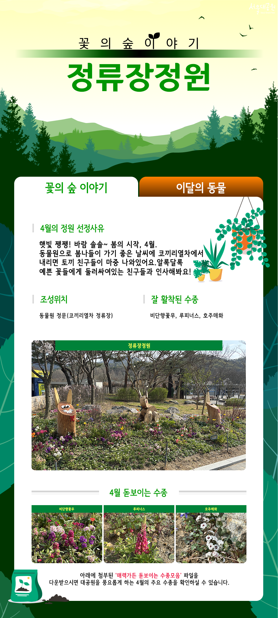 꽃의 숲 이야기 정류장정원
4월의 정원 선정사유
햇빛 쨍쨍! 바람 솔솔~ 봄의 시작, 4월. 동물원으로 봄나들이 가기 좋은 날씨에 코끼리열차에서 내리면 토끼 친구들이 마중 나와있어요. 알록달록 예쁜 꽃들에게 둘러싸여있는 친구들과 인사해봐요!
조성위치
동물원 정문(코끼리열차 정류장)
잘 활착된 수종
비단향꽃무, 루피너스, 호주매화
정류장정원
4월 돋보이는 수종
비단향꽃무 | 루피너스 | 호주매화
아래에 첨부된 '매력가든 돋보이는 수종모음' 파일을 다운받으시면 대공원을 풍요롭게 하는 4월의 주요 수종을 확인하실 수 있습니다.