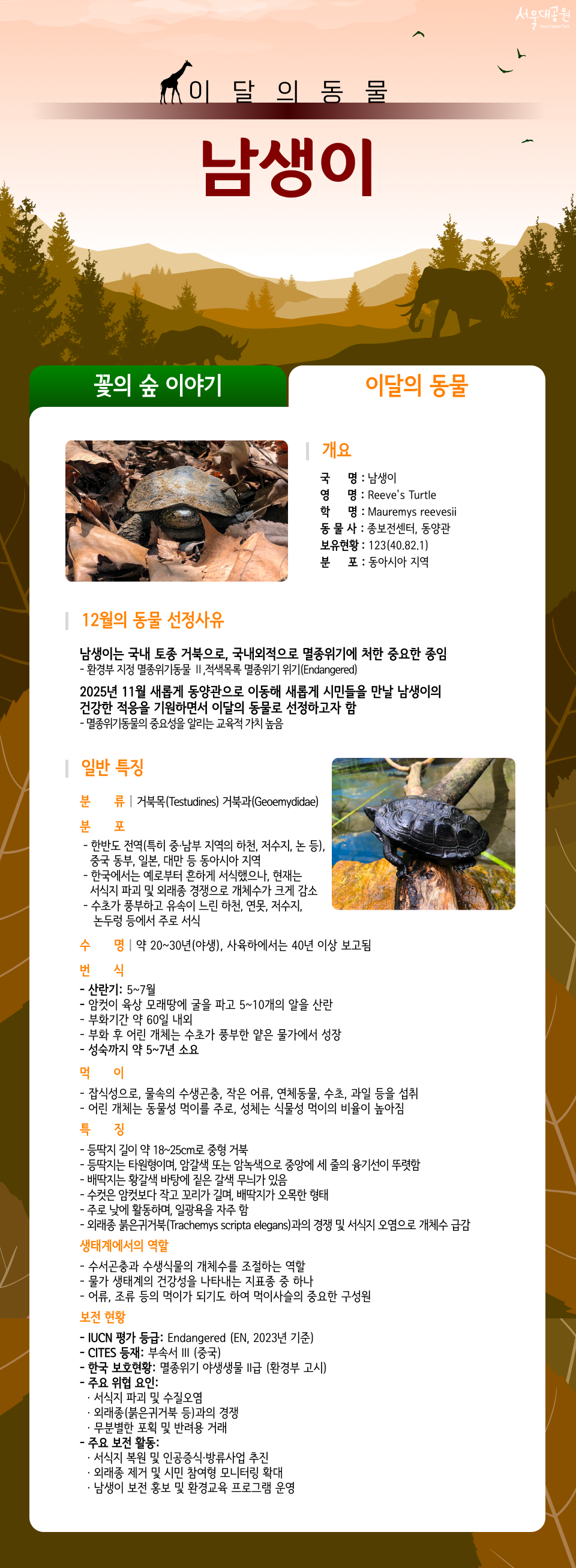 이달의 동물 남생이
01.개요
 국명 : 남생이
 영명 : Reeve's Turtle
 학명 : Mauremys reevesii
 동물사 : 종보전센터, 동양관
 보유현황 : 123(40.82.1)
 분포 : 동아시아 지역

02.12월의 동물 선정사유
 □ 남생이는 국내 토종 거북으로, 국내외적으로 멸종위기에 처한 중요한 종임
   ○ 환경부 지정 멸종위기동물 Ⅱ,적색목록 멸종위기 위기(Endangered)
 □ 2025년 11월 새롭게 동양관으로 이동해 새롭게 시민들을 만날 남생이의 건강한 적응을 기원하면서 이달의 동물로 선정하고자 함
   ○ 멸종위기동물의 중요성을 알리는 교육적 가치 높음

03.일반 특징
❍ 분 류 : 거북목(Testudines) 거북과(Geoemydidae)

❍ 분 포
 - 한반도 전역(특히 중&middot;남부 지역의 하천, 저수지, 논 등), 중국 동부, 일본, 대만 등 동아시아 지역
 - 한국에서는 예로부터 흔하게 서식했으나, 현재는 서식지 파괴 및 외래종 경쟁으로 개체수가 크게 감소
 - 수초가 풍부하고 유속이 느린 하천, 연못, 저수지, 논두렁 등에서 주로 서식

❍ 수 명 : 약 20~30년(야생), 사육하에서는 40년 이상 보고됨

❍ 번 식
 - 산란기 : 5~7월
 - 암컷이 육상 모래땅에 굴을 파고 5~10개의 알을 산란
 - 부화기간 약 60일 내외
 - 부화 후 어린 개체는 수초가 풍부한 얕은 물가에서 성장
 - 성숙까지 약 5~7년 소요

❍ 먹 이
 - 잡식성으로, 물속의 수생곤충, 작은 어류, 연체동물, 수초, 과일 등을 섭취
 - 어린 개체는 동물성 먹이를 주로, 성체는 식물성 먹이의 비율이 높아짐

❍ 특 징
 - 등딱지 길이 약 18~25cm로 중형 거북
 - 등딱지는 타원형이며, 암갈색 또는 암녹색으로 중앙에 세 줄의 융기선이 뚜렷함
 - 배딱지는 황갈색 바탕에 짙은 갈색 무늬가 있음
 - 수컷은 암컷보다 작고 꼬리가 길며, 배딱지가 오목한 형태
 - 주로 낮에 활동하며, 일광욕을 자주 함
 - 외래종 붉은귀거북(Trachemys scripta elegans)과의 경쟁 및 서식지 오염으로 개체수 급감

❍ 생태계에서의 역할
 - 수서곤충과 수생식물의 개체수를 조절하는 역할
 - 물가 생태계의 건강성을 나타내는 지표종 중 하나
 - 어류, 조류 등의 먹이가 되기도 하여 먹이사슬의 중요한 구성원

❍ 보전현황
 - IUCN 평가 등급 : Endangered (EN, 2023년 기준)
 - CITES 등재 : 부속서 III (중국)
 - 한국 보호현황 : 멸종위기 야생생물 II급 (환경부 고시)
 - 주요 위협요인  &bull; 서식지 파괴 및 수질오염  &bull; 외래종(붉은귀거북 등)과의 경쟁  &bull; 무분별한 포획 및 반려용 거래

 - 주요 보전활동
 &bull; 서식지 복원 및 인공증식&middot;방류사업 추진  
&bull; 외래종 제거 및 시민 참여형 모니터링 확대  
&bull; 남생이 보전 홍보 및 환경교육 프로그램 운영


