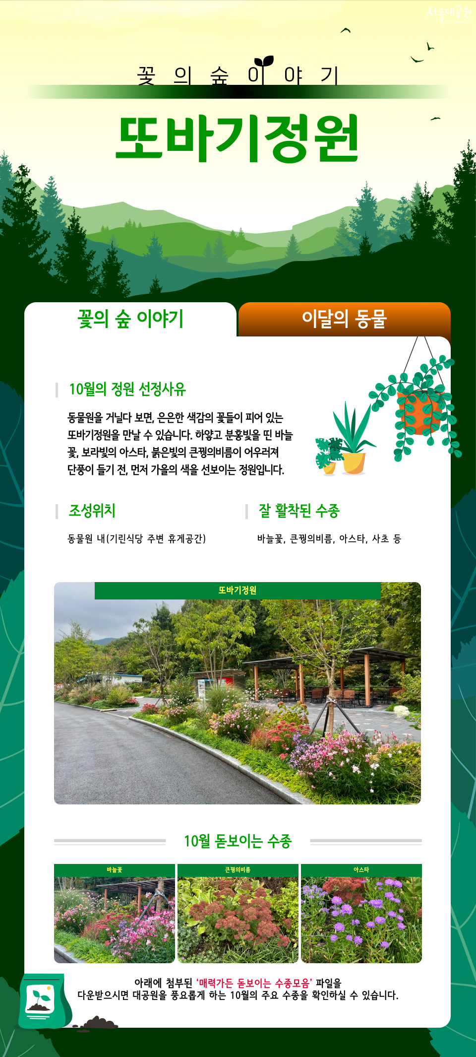 또바기정원
꽃의 숲 이야기
10월의 정원 선정사유
동물원을 거닐다 보면, 은은한 색감의 꽃들이 피어 있는 또바기정원을 만날 수 있습니다. 하얗고 분홍빛을 띤 바늘꽃, 보라빛의 아스타, 붉은빛의 큰꿩의비름이 어우러져 단풍이 들기 전, 먼저 가을의 색을 선보이는 정원입니다.
조성위치
동물원 내(기린식당 주변 휴게공간)
잘 활착된 수종
바늘꽃, 큰꿩의비름, 아스타, 사초 등
또바기정원
10월 돋보이는 수종
바늘꽃 | 큰꿩의비름 | 아스타
아래에 첨부된 '매력가든 돋보이는 수종모음' 파일을 다운받으시면 대공원을 풍요롭게 하는 10월의 주요 수종을 확인하실 수 있습니다.