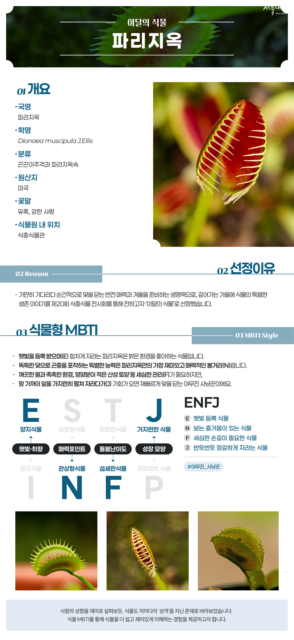 10월 이달의 식물 파리지옥