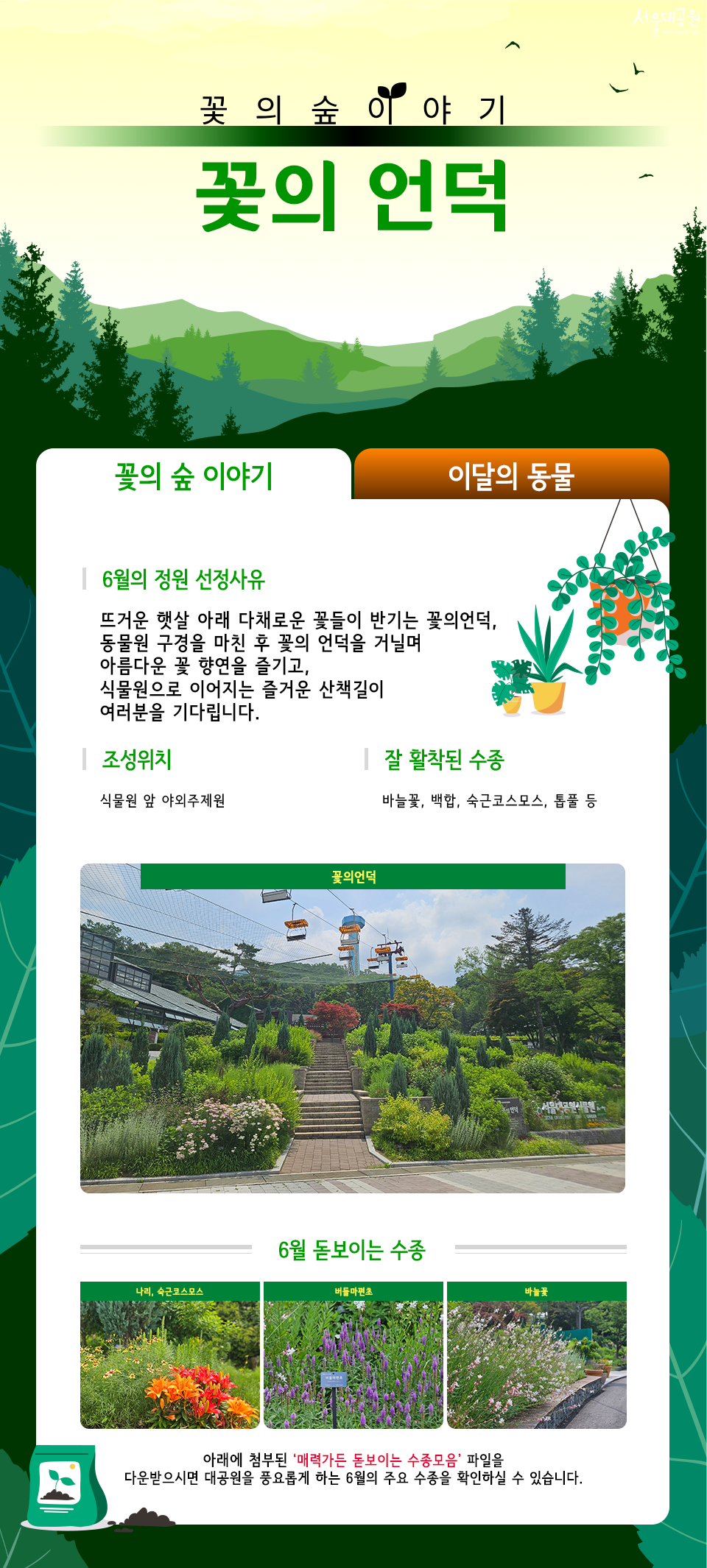 
꽃의 숲 이야기
꽃의 언덕

6월의 정원 선정사유
뜨거운 햇살 아래 다채로운 꽃들이 반기는 꽃의언덕, 동물원 구경을 마친 후 꽃의 언덕을 거닐며 아름다운 꽃 향연을 즐기고, 식물원으로 이어지는 즐거운 산책길이 여러분을 기다립니다.
조성위치
식물원 앞 야외주제림
잘 활착된 수종
바늘꽃, 백합, 숙근코스모스, 톱풀 등
꽃의언덕
6월 돋보이는 수종
다래, 숙근코스모스 | 마을아론초 | 바늘꽃
아래에 첨부된 '매력가든 돋보이는 수종모음' 파일을 다운받으시면 대공원을 풍요롭게 하는 6월의 주요 수종을 확인하실 수 있습니다.