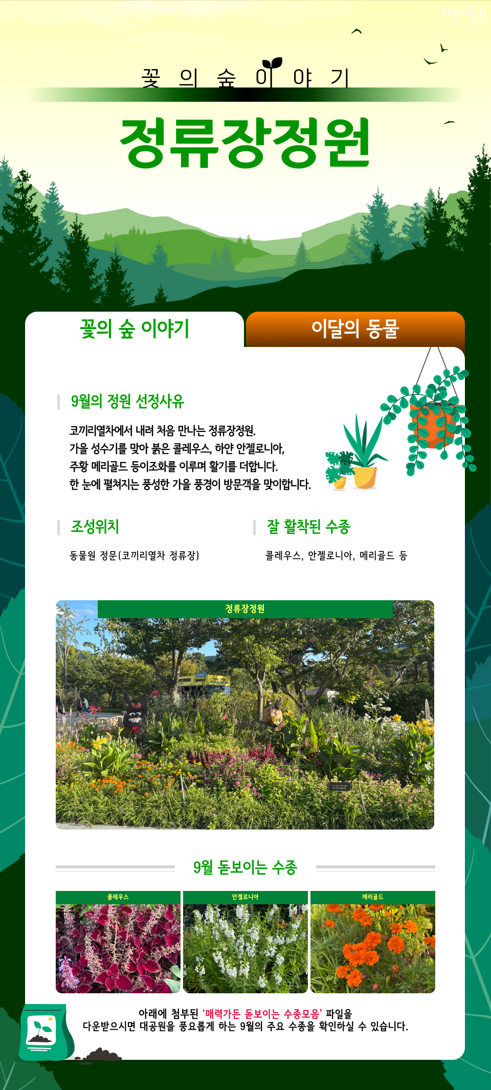 정류장정원
꽃의 숲 이야기
9월의 정원 선정사유
코끼리열차에서 내려 처음 만나는 정류장정원. 가을 성수기를 맞아 붉은 클레우스, 하얀 안젤로니아, 주황 메리골드 등이조화를 이루며 활기를 더합니다. 한 눈에 펼쳐지는 풍성한 가을 풍경이 방문객을 맞이합니다.
조성위치
동물원 정문(코끼리열차 정류장)
잘 활착된 수종
클레우스, 안젤로니아, 메리골드 등
정류장정원
9월 돋보이는 수종
클레우스 | 안젤로니아 | 메리골드
아래에 첨부된 '매력가든 돋보이는 수종모음' 파일을 다운받으시면 대공원을 풍요롭게 하는 9월의 주요 수종을 확인하실 수 있습니다.