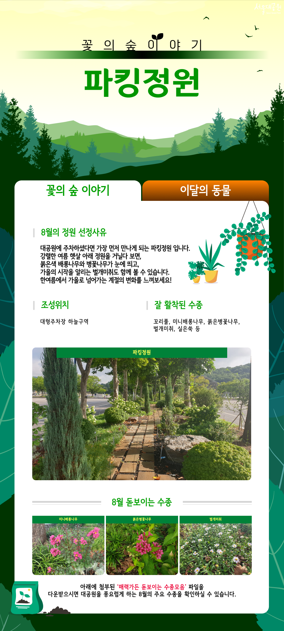 파킹정원
꽃의 숲 이야기
8월의 정원 선정사유
대공원에 주차하셨다면 가장 먼저 만나게 되는 파킹정원 입니다. 강렬한 여름 햇살 아래 정원을 거닐다 보면, 붉은색 배롱나무와 병꽃나무가 눈에 띄고, 가을의 시작을 알리는 범게미취도 함께 볼 수 있습니다. 한여름에서 가을로 넘어가는 계절의 변화를 느껴보세요!
조성위치
대형주차장 아놀구역
잘 활착된 수종
꼬리풀, 미니배롱나무, 붉은병꽃나무, 범게미취, 실은쑥 등
파킹정원
8월 돋보이는 수종
미니배롱나무 | 붉은병꽃나무 | 범게미취
아래에 첨부된 '매력가든 돋보이는 수종모음' 파일을 다운받으시면 대공원을 풍요롭게 하는 8월의 주요 수종을 확인하실 수 있습니다.