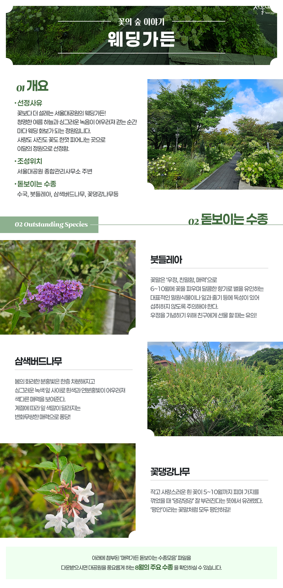 2026년 8월의 정원