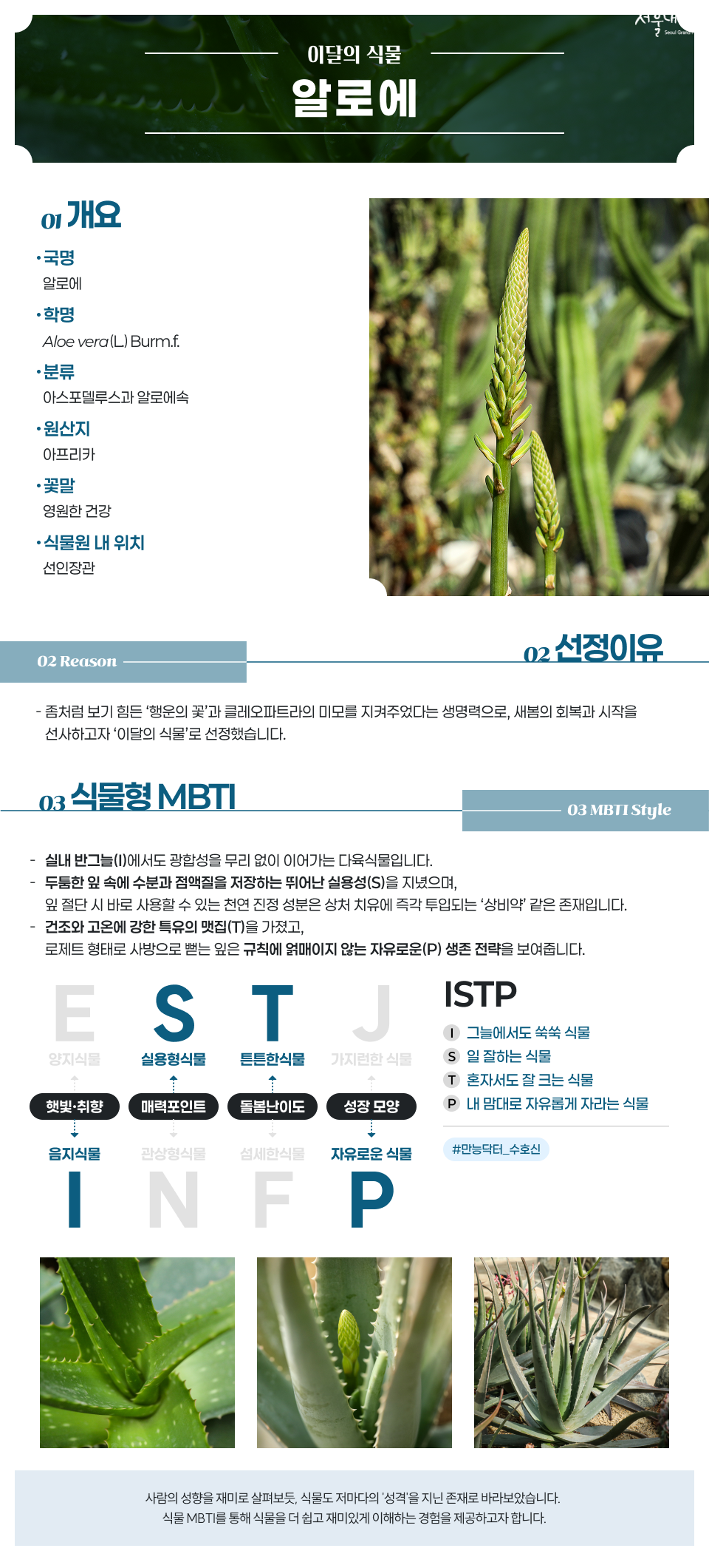이달의 식물
알로에

01 개요

· 국명
알로에

· 학명
Aloe vera (L.) Burm.f.

· 분류
아스포델루스과 알로에속

· 원산지
아프리카

· 꽃말
영원한 건강

· 식물원 내 위치
선인장관

02 Reason
02 선정이유

좀처럼 보기 힘든 ‘행운의 꽃’과 클레오파트라의 미모를 지켜주었다는 생명력으로, 새봄의 회복과 시작을 선사하고자 ‘이달의 식물’로 선정했습니다.

03 식물형 MBTI
03 MBTI Style

실내 반그늘(I)에서도 광합성을 무리 없이 이어가는 다육식물입니다.

두툼한 잎 속에 수분과 점액질을 저장하는 뛰어난 실용성(S)을 지녔으며, 잎 절단 시 바로 사용할 수 있는 천연 진정 성분은 상처 치유에 즉각 투입되는 ‘상비약’ 같은 존재입니다.

건조와 고온에 강한 특유의 멋짐(T)을 가졌고, 로제트 형태로 사방으로 뻗는 잎은 규칙에 얽매이지 않는 자유로운(P) 생존 전략을 보여줍니다.

E S T J
양지식물 실용형식물 튼튼한식물 가지런한 식물

햇빛·취향 매력포인트 돌봄난이도 성장 모양

음지식물 관상형식물 섬세한식물 자유로운 식물

I N F P

ISTP

I 그늘에서도 쑥쑥 식물
S 일 잘하는 식물
T 혼자서도 잘 크는 식물
P 내 맘대로 자유롭게 자라는 식물

#만능닥터_수호신

사람의 성향을 재미로 살펴보듯, 식물도 저마다의 ‘성격’을 지닌 존재로 바라보았습니다.
식물 MBTI를 통해 식물을 더 쉽고 재미있게 이해하는 경험을 제공하고자 합니다.