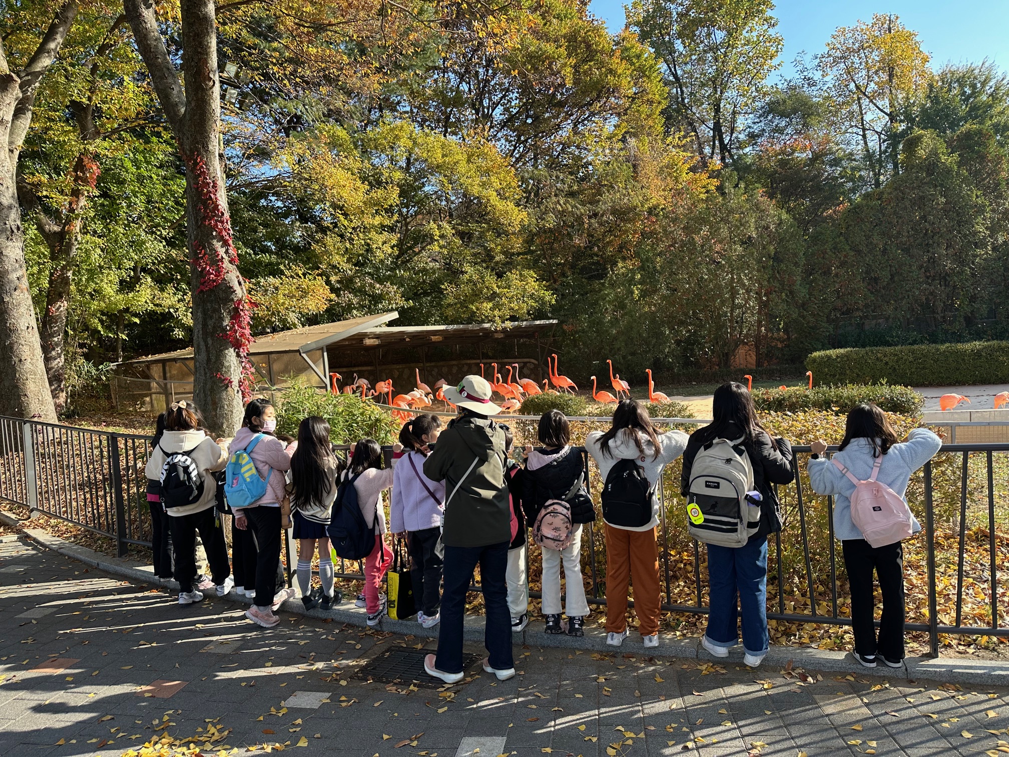 2026 동물해설 단체교육