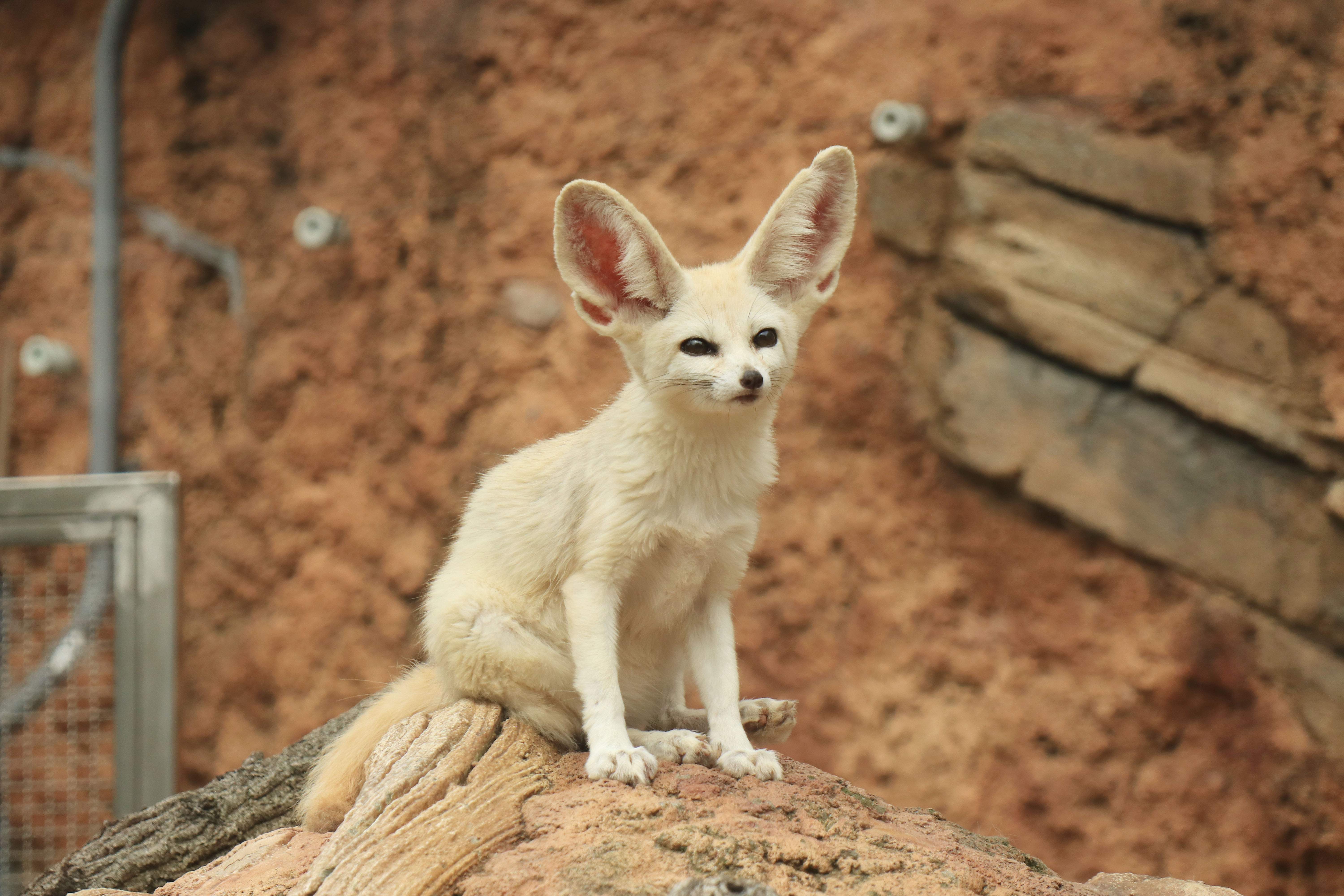 2026 희망 힐링 주 아카데미