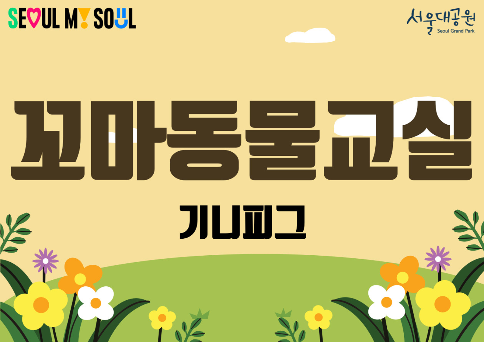 꼬마동물교실 기니피그