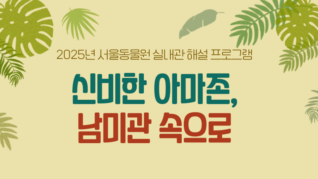 신비한 아마존, 남미관 속으로