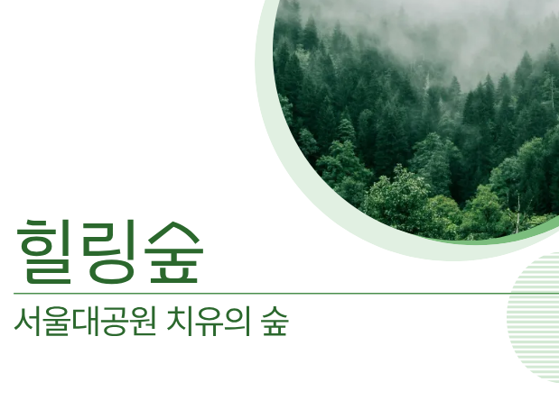 힐링숲