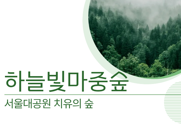 하늘빛 마중숲