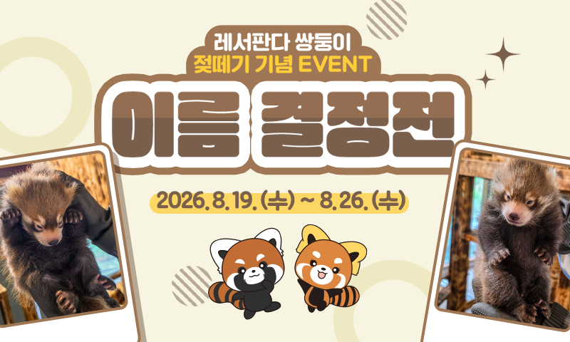 레서판다 쌍둥이 이름 결정전