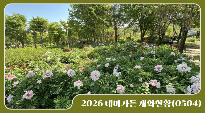 2026 테마가든 개화현황