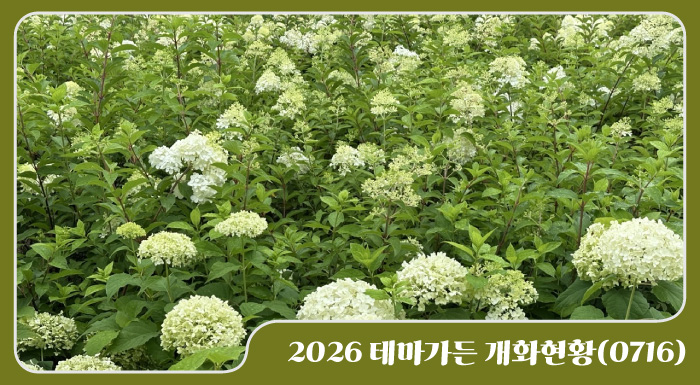 2026 테마가든 개화현황